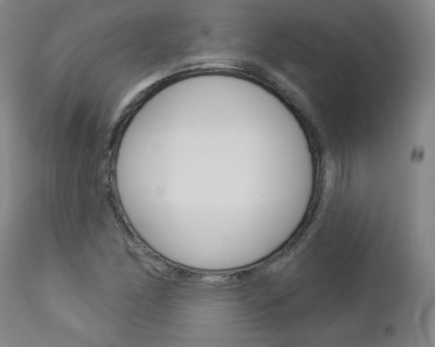 X0000112961166200908270912