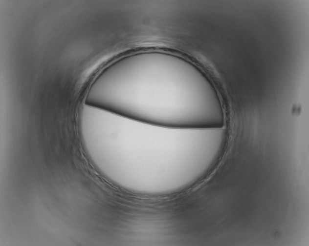 X0000112961167200908270912