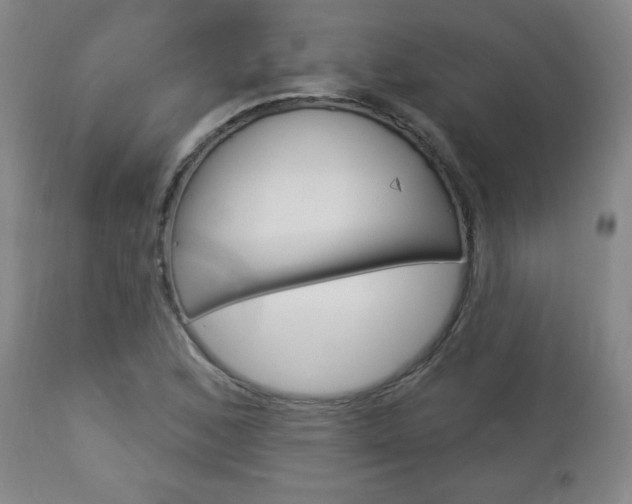 X0000112961168200908270912