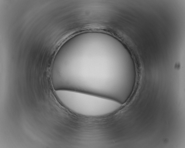 X0000112961169200908270912