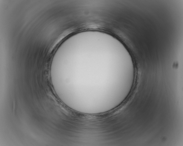 X0000112961170200908270912