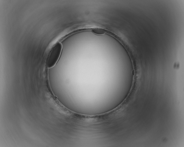 X0000112961173200908270912