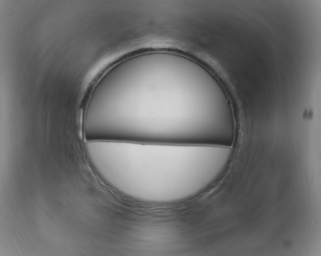 X0000112961175200908270912