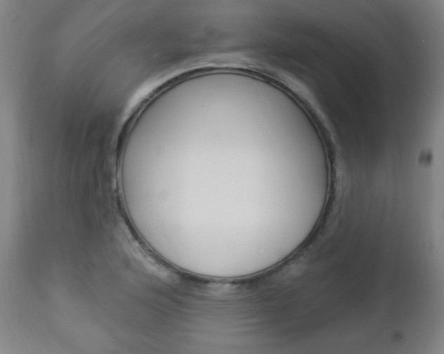X0000112961176200908270912
