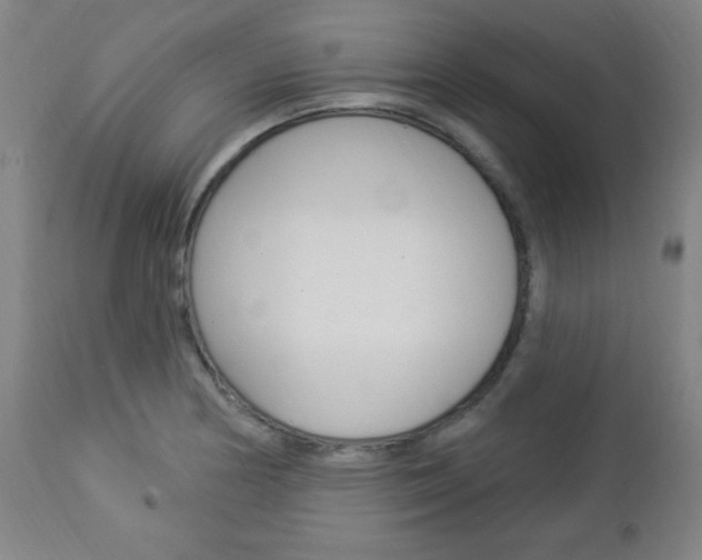 X0000112961178200908270912