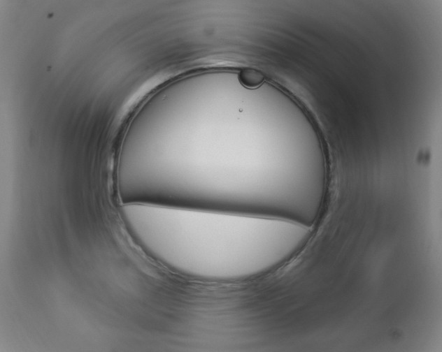 X0000112961179200908270912