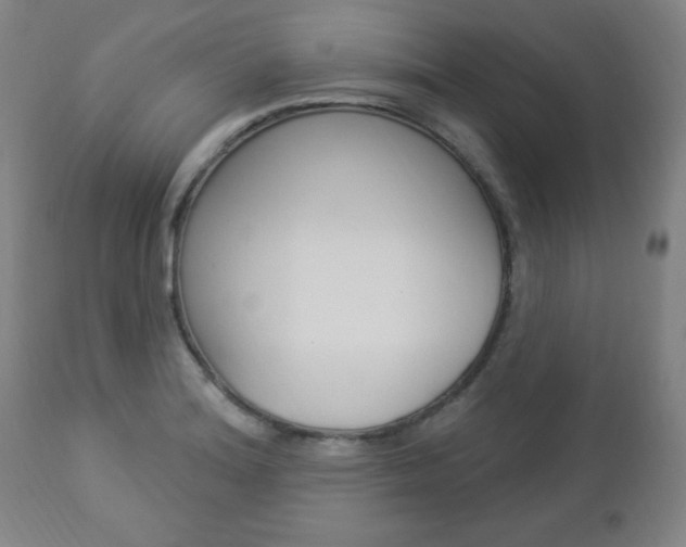 X0000112961180200908270912