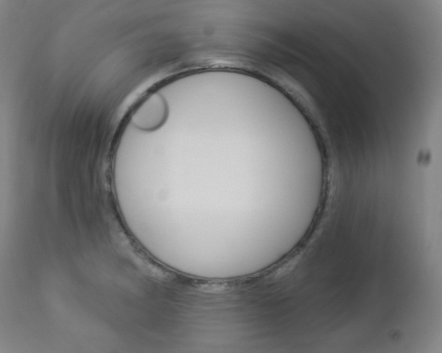 X0000112961182200908270912