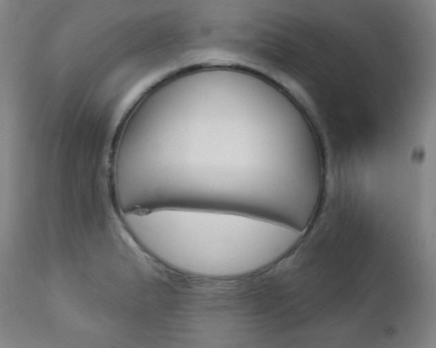 X0000112961183200908270912