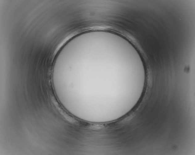 X0000112961186200908270912