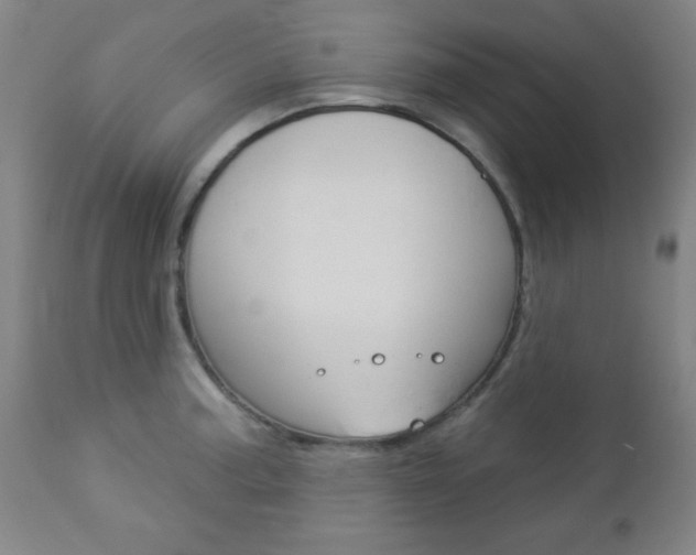 X0000112961187200908270912