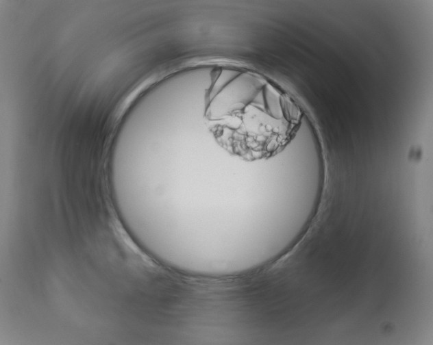 X0000112961189200908270912
