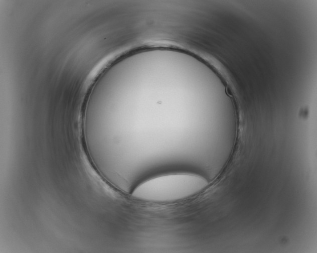 X0000112961191200908270912