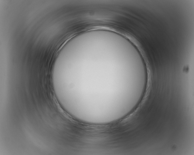 X0000112961193200908270912