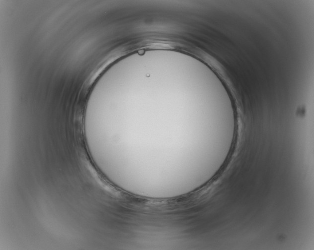 X0000112961194200908270912