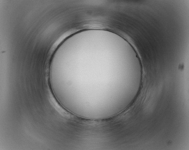 X0000112961195200908270912