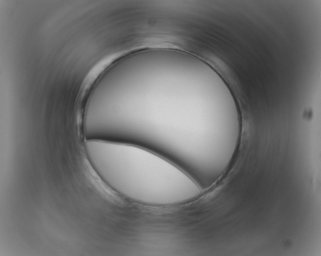 X0000112961196200908270912