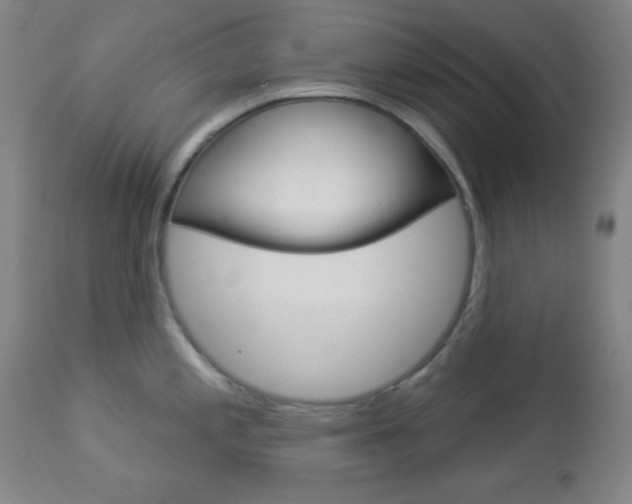 X0000112961197200908270912
