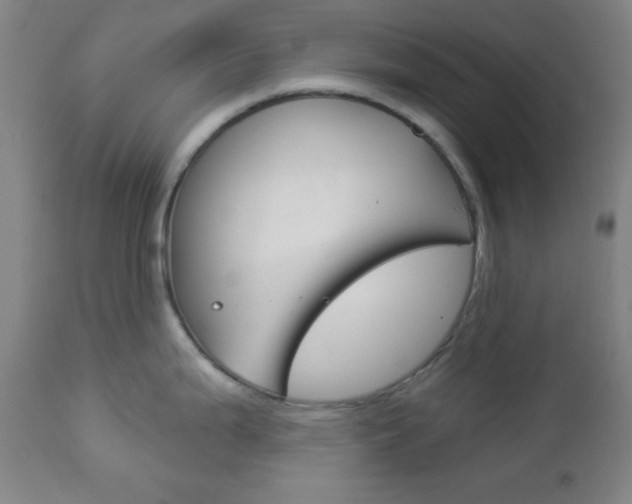 X0000112961199200908270912