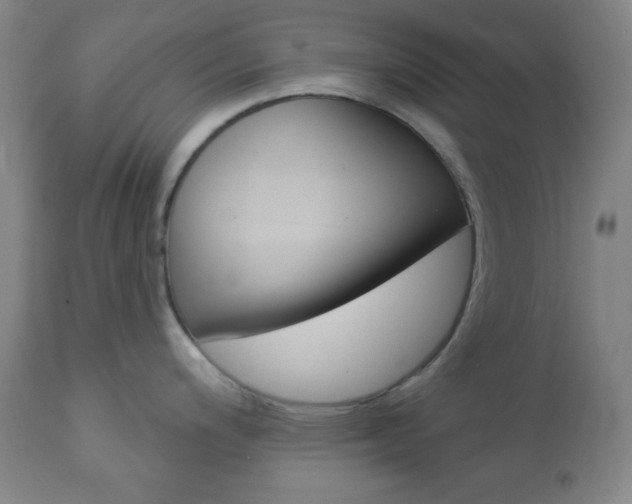 X0000112961200200908270912