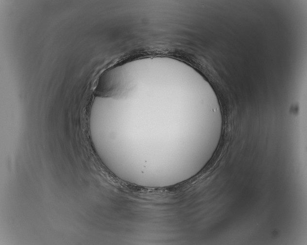 X0000112961201200908270911