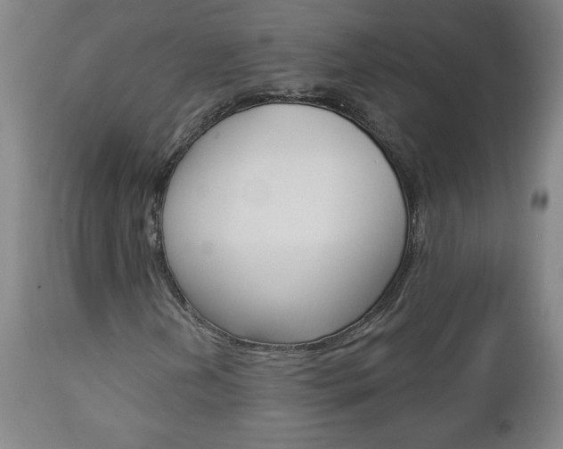 X0000112961202200908270911