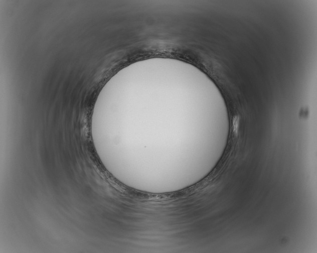 X0000112961203200908270911