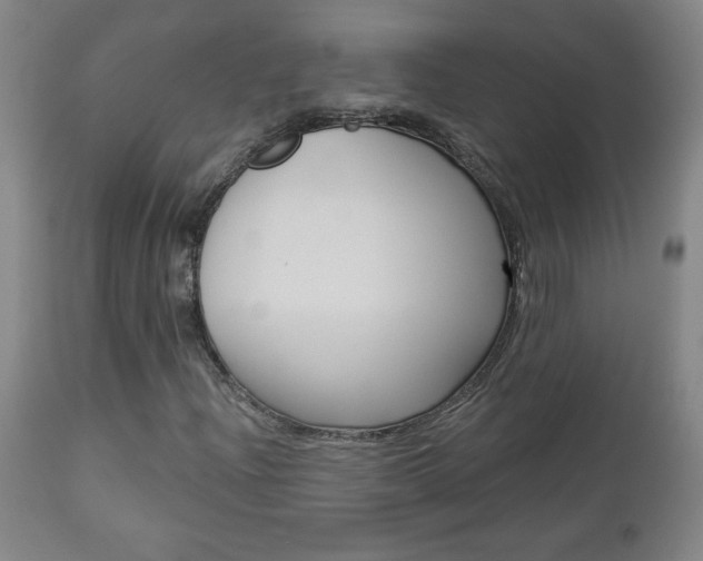 X0000112961204200908270911
