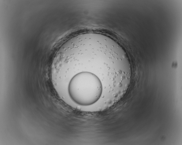 X0000112961205200908270911