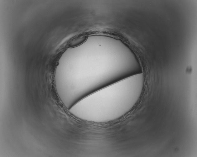 X0000112961206200908270911