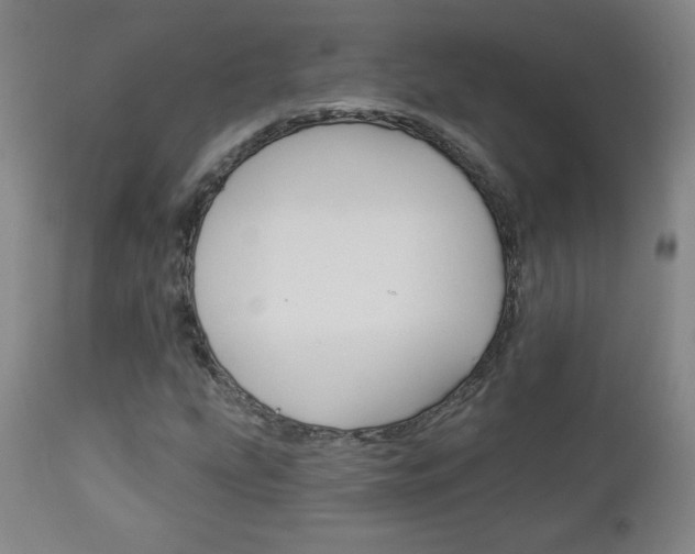 X0000112961207200908270911