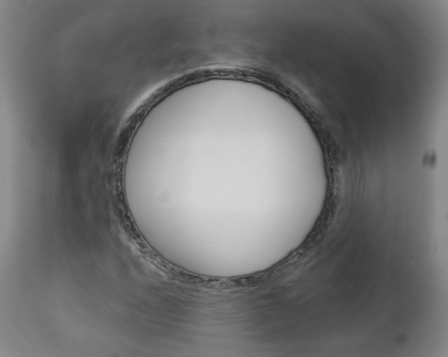 X0000112961208200908270911
