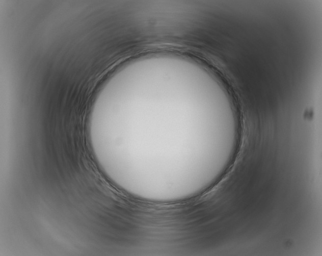 X0000112961209200908270911