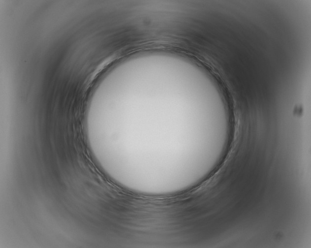 X0000112961210200908270911