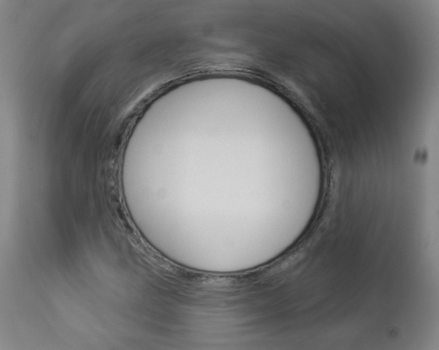 X0000112961211200908270911