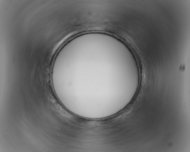 X0000112961212200908270911