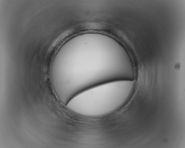 X0000112961213200908270911