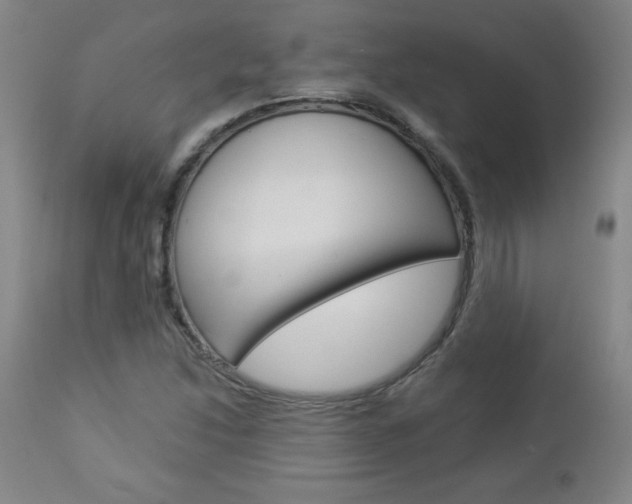 X0000112961214200908270911