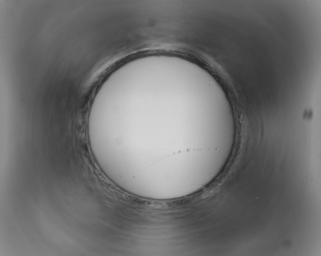 X0000112961215200908270911