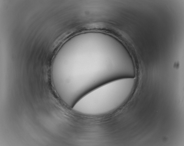 X0000112961217200908270911