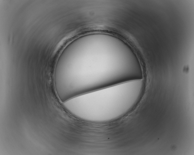 X0000112961218200908270911