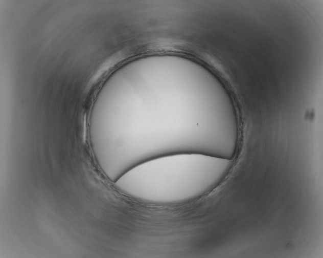 X0000112961219200908270911