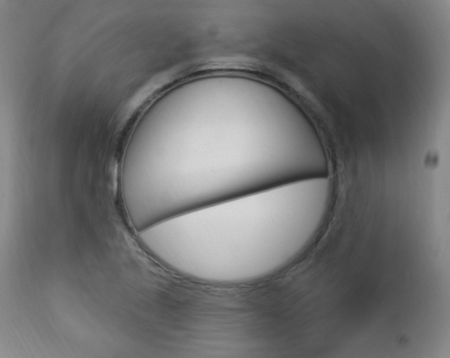 X0000112961221200908270911