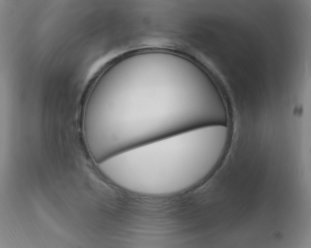X0000112961222200908270911