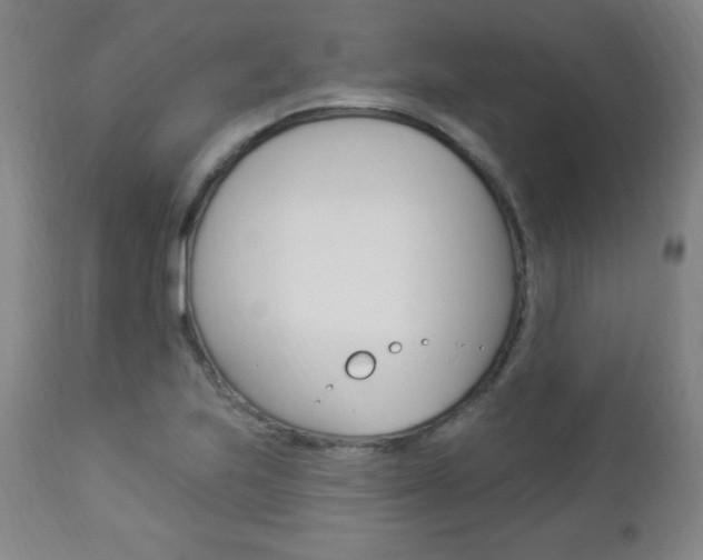 X0000112961223200908270911