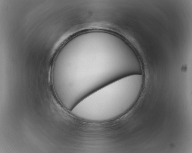X0000112961224200908270911
