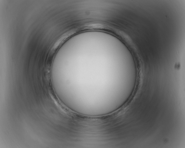 X0000112961225200908270911