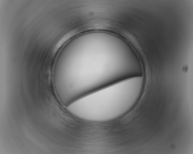 X0000112961226200908270912