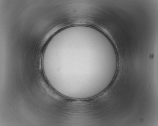 X0000112961227200908270912
