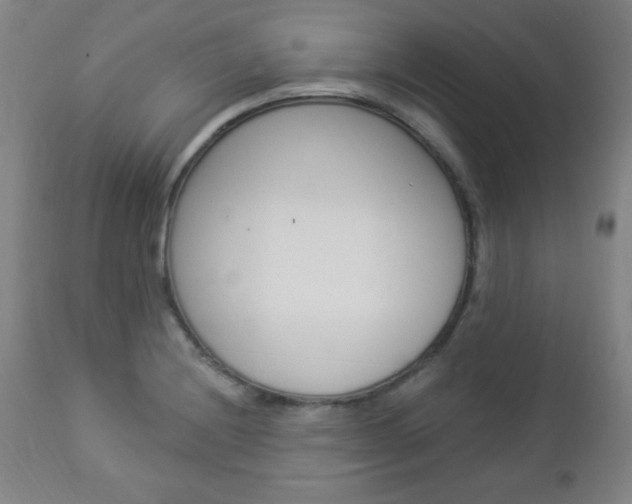 X0000112961228200908270912